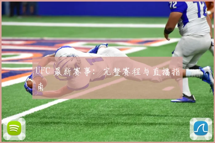 UFC 最新赛事：完整赛程与直播指南