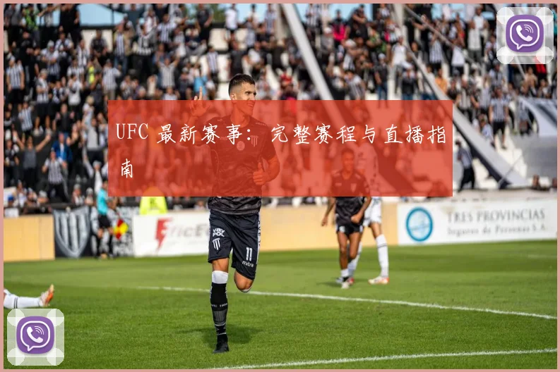 UFC 最新赛事：完整赛程与直播指南